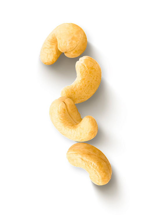 anacardi