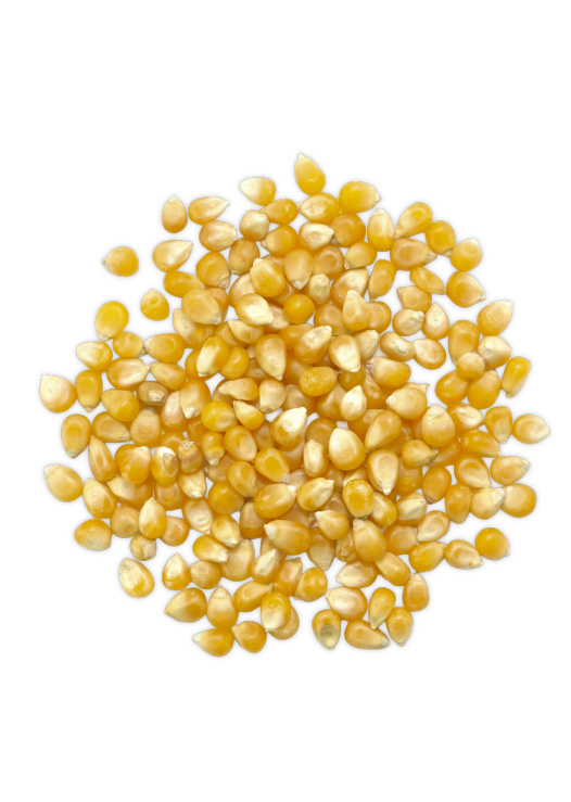 mais-pop-corn