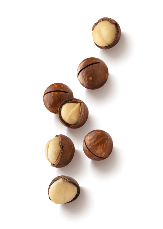 noci-macadamia