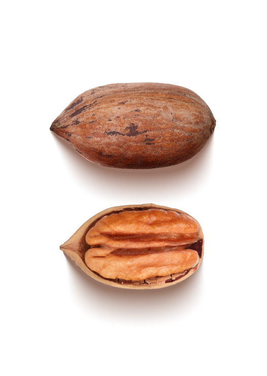 noci-pecan